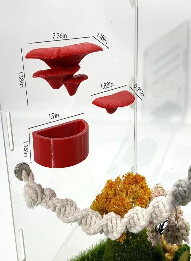 Julang Jumping Spider Enclosure Accessories, 3 Pack Mushroom Shelf & Water Bowl with Magnets, Jumping Spider Climbing Platforms Habitat Decorate Accessories (Red) - Image 2